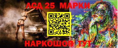 СК Гатчина