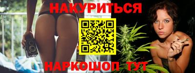 СК Гатчина