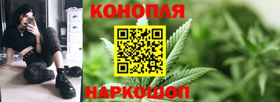 СК Гатчина