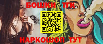 СК Гатчина