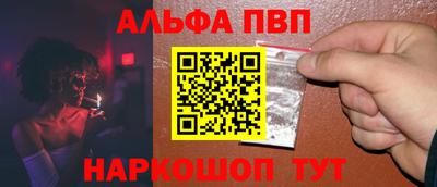 СК Гатчина