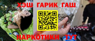 СК Гатчина