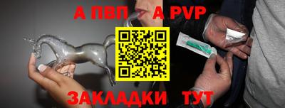 СК Гатчина
