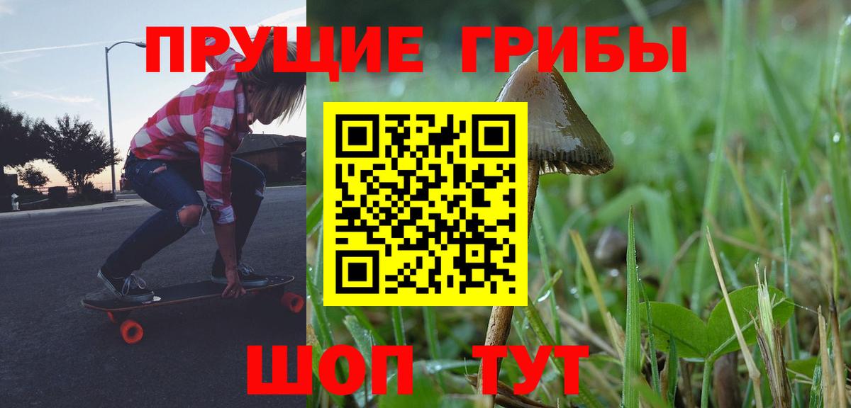 Галлюциногенные грибы ЛСД Шелехов